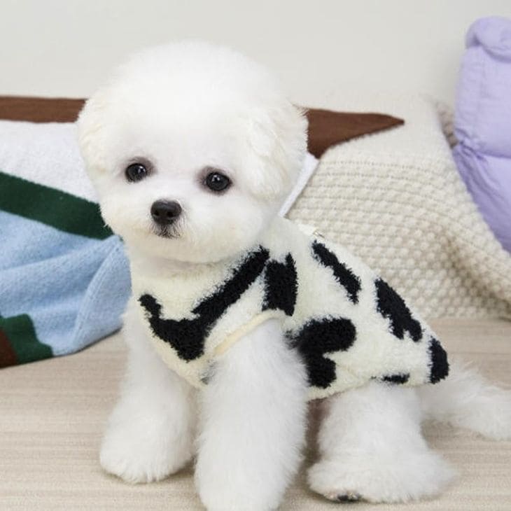 プラリカの【売り尽くし】犬服 冬 NEW! 冬新作 超可愛! くまちゃん 牛柄 デザイン 袖なし トップス ベスト ふわふわ もこもこ 暖かい 快適 Dカン付 防寒対策 ペットウエア ドックウエア 犬用 猫用 丈夫 洗える 爽やか 散歩 旅行 外出 用品 男の子 女の子【a477】｜アングル3