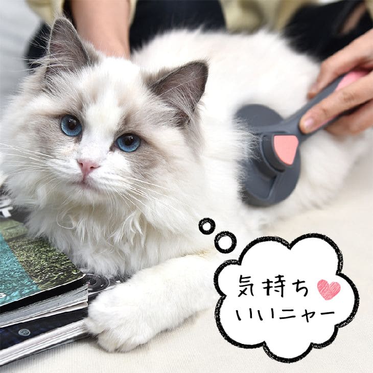 犬用 猫用 ペットブラシ 抜け毛取り ワンプッシュ スリッカーブラシ 毛取り ブラッ...