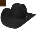 帽子 ステットソン STETSON SH183 75APACHE クロ チャ ウエスタン テンガロン 高級 フェルトハット メンズ レディース