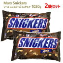 【2袋セット】【直送便】202301SNICKERS スニッカーズミニ 大容量 1020gチョコレー ...