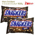 【2袋セット】【直送便】202301SNICKERS スニッカーズミニ 大容量 1020gチョコレート チョコ キャラメル ピーナッツ個包装 おやつ お菓子 バレンタイン ホワイトデー 節分 豆まき0506829