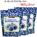 yBEElE֐ nzy3Zbgz202208I[KjbN hCu[x[ 567g~3 eʗL@ʎ L@u[x[J[NhVOl`[ Kirkland Signature Organic Dried Blueberries USDA JAS F L@ gbsO VA 0937184