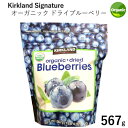 202305オーガニック ドライブルーベリー 567g 大容量カークランドシグネチャーKirkland Signature Organic Dried Blueberries有機 トッピング シリアル ヨーグルトオーガニックホールブルーベリー USDA JAS 認証0937184