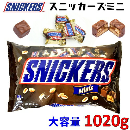 【直送便】202301SNICKERS スニッカーズミニ 大容量 1020gチョコレート チョコ キャラメル ピーナッツ個包装 おやつ お菓子 バレンタイン ホワイトデー 節分 豆まき0506829