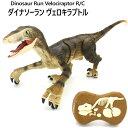 202108ダイナソーラン ヴェロラキプトル ラジコン2.4GHZ 京商　ライト サウンド 6才以上Dinosaur Run Velociraptor　肉食恐竜おもちゃ 恐竜　ギフト　クリスマス　誕生日　プレゼント025577