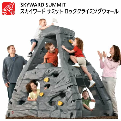 【直送便】202108ステップ2 スカイワード サミットSTEP2 SKYWARD SUMMITロッククライミングウォール　ジャングルジム　大型遊具運動能力　4歳から8歳プレゼント　誕生日　クリスマス　屋外使用【smtb-ms】16708