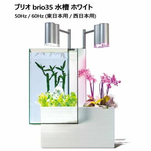 楽天PRAY LIV 楽天市場店【直送便】202205ブリオ brio35 水槽 家庭用アクアポニックス50Hz / 60Hz （東日本用 / 西日本用）Brio35 Aquarium自然環境 同じ循環システムタイマー付き LEDライトネオンテトラ プラティ 金魚 観賞魚淡水専用 ガーデニング026375