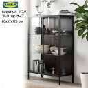 202307RUDSTA ルードスタコレクションケース 80x37x120 cm収納棚 飾り棚 IKEA イケアおしゃれ 新生活金属面マグネット可能 コレクション ディスプレイケーブル配線口付き30450138