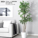 【九州・中国・四国・関西・中部・北陸 限定価格】202504FEJKA フェイカ 人工観葉植物 室内/屋外用 ベンジャミン 21 cm本物そっくり グリーン 造花おしゃれ 新生活 収納家具 004.915.74