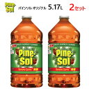 【2セット】【直送便】202301パインソル オリジナル 5.17L×2マルチ クリーナー 多目的洗浄剤 酸性PINE-SOL ORIGINAL 住宅用 洗剤 界面活性剤 消臭 除菌 ペット 掃除濃縮洗浄剤【smtb-ms】0011158