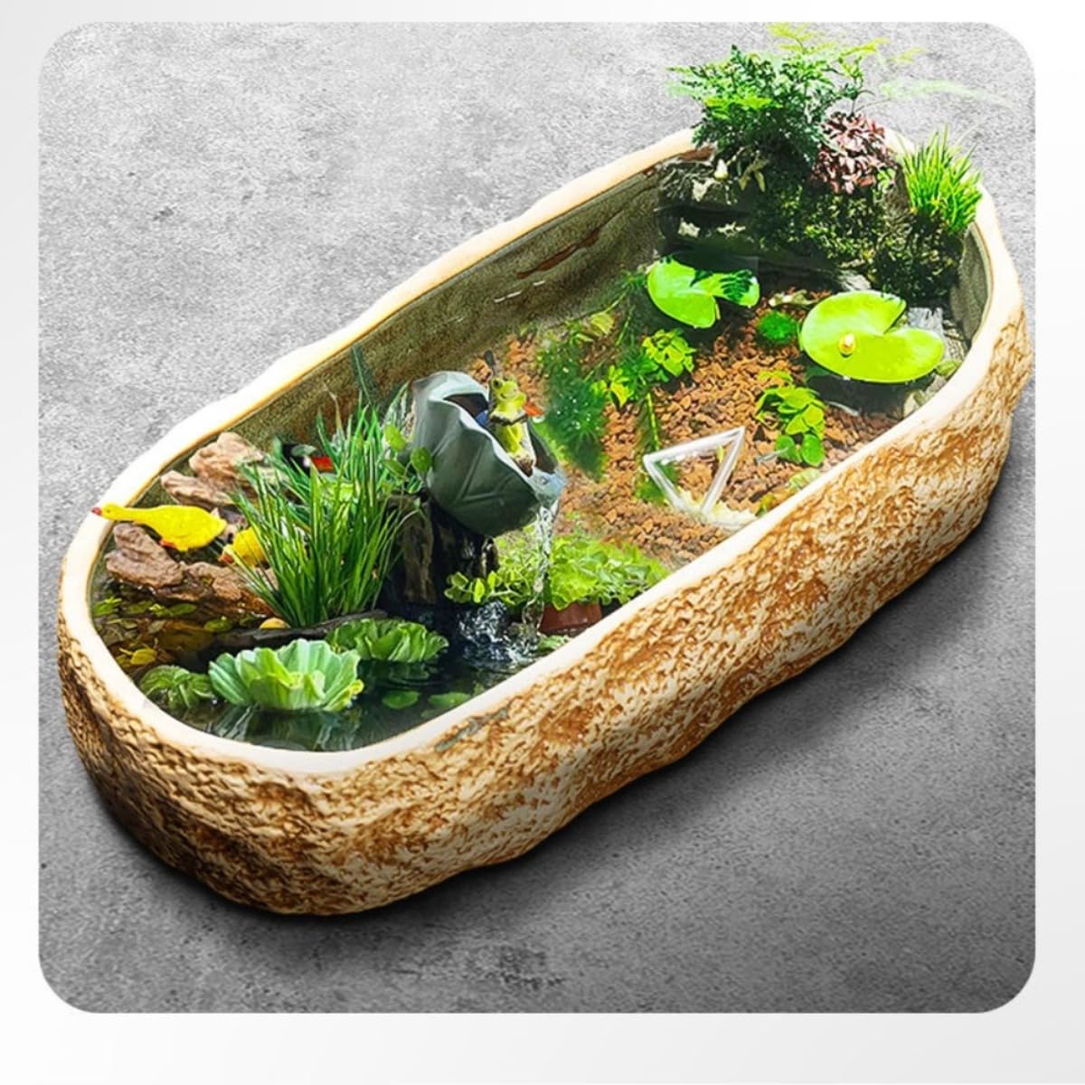Prebirth楽天市場店の金魚鉢 メダカ鉢 睡蓮鉢 水耕植木鉢 亀 水槽 スの葉ロータス銅コイングラスリーンカタツムリガーデン大型植 ぎせき ベランダリビング｜アングル2