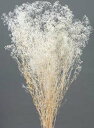 大地農園 ソフトミニカスミ草 ソフトミニカスミ草白 小分け 【 ドライフラワー ハーバリウム 花材 】