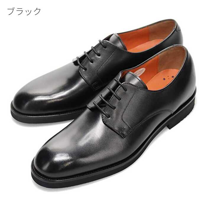 マドラス製MODELLOVITAモ...