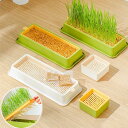 容器 猫草栽培鉢皿 鉢台 鉢植え台 猫草プランター 植物シャーレ プラスチックキャットニップ猫草ボックス 自己散水植物スプラウタートレイ 鉢植え台 観葉植物 鉢植え 植木鉢 1個入 2個入 【種の付属なし】