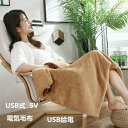 電気毛布 加熱毛布 USB給電 ブランケット 防寒保温 冷え解消 加熱ヒーター 肩掛け ひざ掛け ふわふわ もちもち 冬用 冷房対策 膝掛け 肩掛け 防寒対策 ...