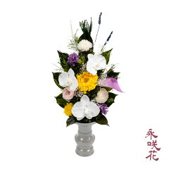 https://thumbnail.image.rakuten.co.jp/@0_mall/preciousflower/cabinet/imgrc0098287773.jpg