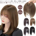 Fashion THE SALE 10%off ウィッグ 部分ウィッグ 部分かつら かつら ウイッグ トップカバー ヘアピース ピース トップ カバー ウイッグ...
