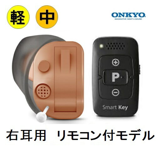 【楽天P10倍】オンキョー ONKYO OHS-D31 右耳用 補聴器 耳穴式 耳あな デジタル補聴器 コンパクト 片耳 右耳 左耳 コンパクト 敬老 ハウリング抑制 集音器 集音機 おしゃれ メーカー 小型 目立たない