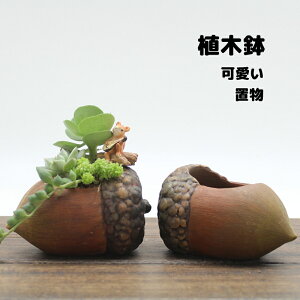 植木鉢 ミニ 2点セット プランター 多肉 苔 コケリウム 苔リウム 箱庭 鉢 可愛い サボテン 多肉植物 寄せ植え 置物 インテリア どんぐり 松かさ かわいい 樹脂 テラリウム 容器 卓上 小型 ガーデニング グッズ 雑貨