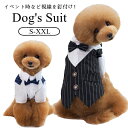 家族の御祝い事への参加時はもちろん、イベント時など視線を釘付け!