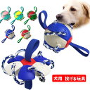 投げるおもちゃ 犬用 おもちゃ ペット 犬 ボール 小型犬 中型犬 大型犬 遊び 犬用品 ペットグッズ いぬ 犬 サッカーボール ワンちゃん 玩具 耐久性 ペッ...