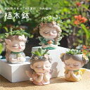 多肉植物鉢 植木鉢 プランター ミニ 多肉 苔 コケリウム 4color 苔リウム 箱庭 鉢 可愛い おしゃれ サボテン 多肉植物 寄せ植え 置物 装飾用 装飾...