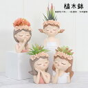 多肉植物鉢 植木鉢 プランター ミニ 多肉 苔 コケリウム 4color 苔リウム 箱庭 鉢 可愛い おしゃれ サボテン 多肉植物 寄せ植え 置物 装飾用 装飾...