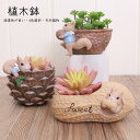 多肉植物鉢 植木鉢 栗鼠 リス プランター ミニ 多肉 苔 コケリウム 4color 苔リウム 箱庭 鉢 可愛い おしゃれ サボテン 多肉植物 寄せ植え 置物 ...