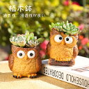 【新作7日限定クーポン配布中】多肉植物鉢 植木鉢 フクロウ プランター ミニ 多肉 苔 コケリウム 苔リウム 箱庭 鉢 可愛い おしゃれ サボテン 多肉植物 寄...
