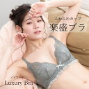ノンワイヤーブラ 楽ブラ 楽盛ブラ ふわふわカップ 脇高 レースブラ 2色レース ブラジャー 下着 女性 M L LL 新作 春夏おすすめ 人気 送料無料