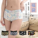 ショーツ レディース 5枚 福袋 ローレッグ ボクサー M L LL まとめ買い 下着 パンティ スタンダード 可愛い 花柄 動物柄 フルーツ柄 食べ物柄 送料無料