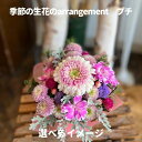 ボリュームたっぷり花束 まだ間に合う 花 母の日 誕生日 犬 長持ち おしゃれ ギフト 2499円 送料無料 宅配 開業 開所祝い 長寿祝い 花器 ボリューム 豪華 立札 アレンジメント ブーケ 選べるスタイル 花束 生花 結婚記念日 お祝い フラワー バラ ガーベラ 女性 お母さん 季節のアレンジプチ御祝