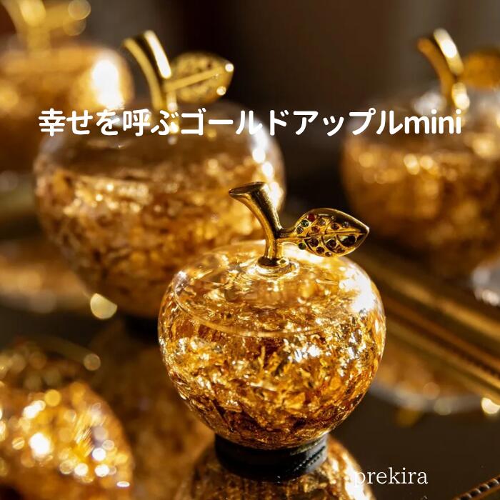 【九州・四国・中国地方送料無料】誕生日 おしゃれ お祝い 幸せを呼ぶ プレゼント カラー そのまま飾れ..