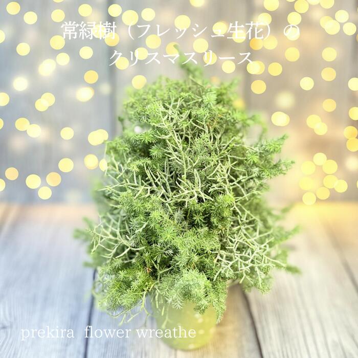 【九州・四国・中国地方送料無料】フレッシュグリーンツリー クリスマスツリー 自然素材 手作りツリー ..