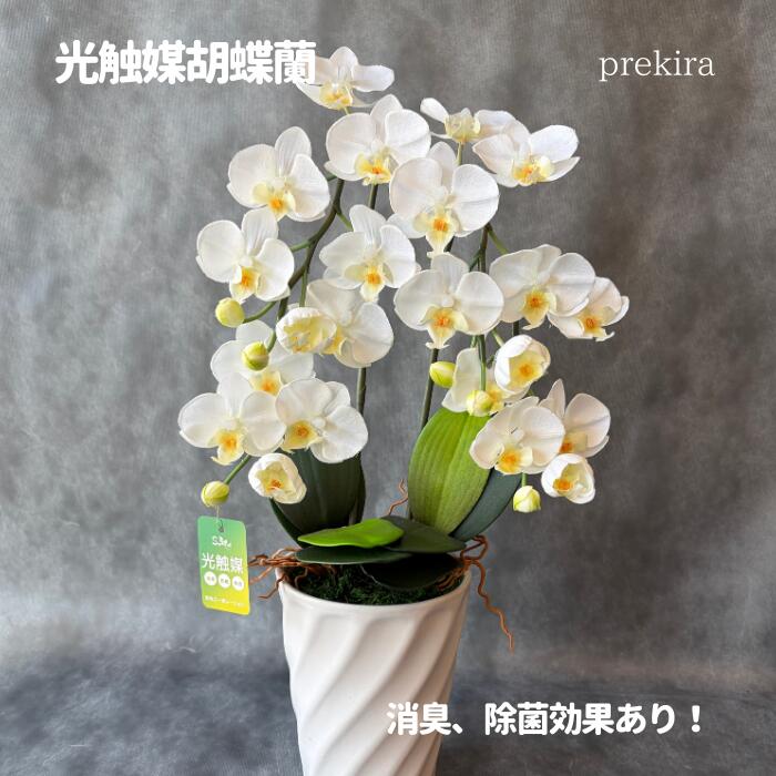 【お買い物マラソン ポイント10倍】早割 母の日【九州・四国・中国地方送料無料】胡蝶蘭3本立 胡蝶蘭 お祝 3本立ち 光触媒 フェイクフラワー 敬老の日 就任祝い 誕生日 プレゼント 枯れない 新築祝い 開店祝い お歳暮 栄転 喜寿 還暦祝い ギフト 仏花 消臭・抗菌 光触媒