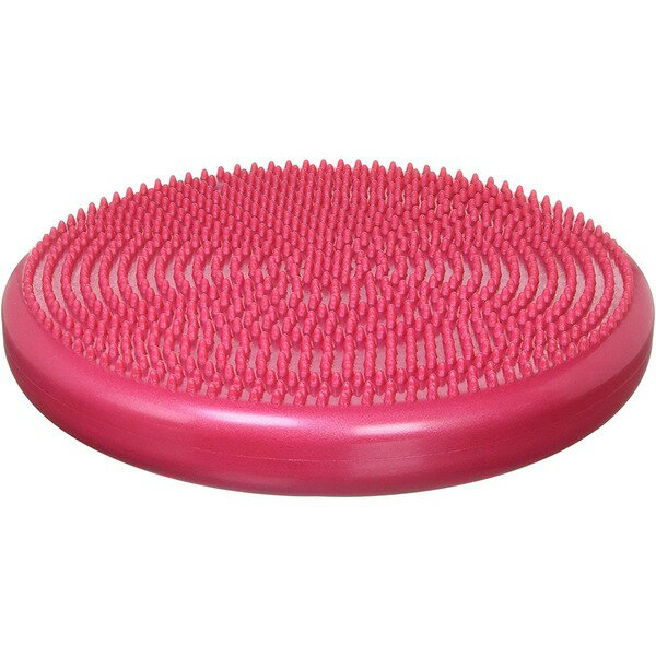 バランスディスクTS