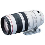 【中古】【1年保証】【美品】Canon EF 100-400mm F4.5-5.6L IS USM