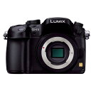 yÁzy1Nۏ؁zyizPanasonic LUMIX DMC-GH3 {fB ubN