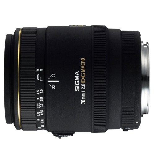 楽天市場】sigma 70mm f2.8 dg macro canon efの通販 楽天市場】sigma 70mm f2.8 dg macro canon efの通販