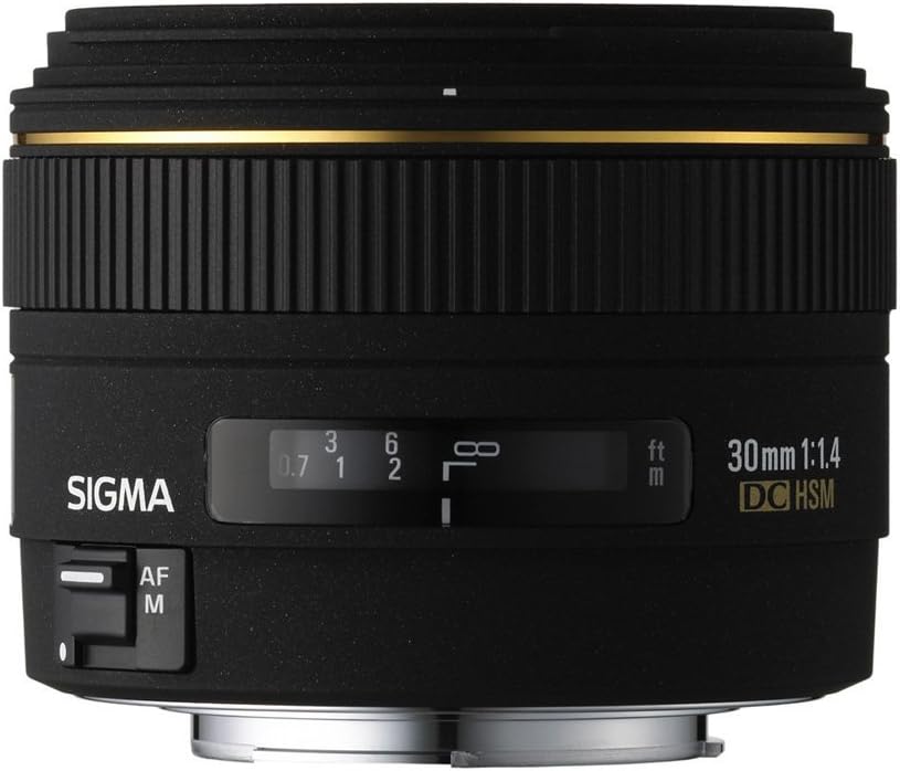 【中古】【1年保証】【美品】SIGMA 30mm F1.4 EX DC HSM (フォーサーズ用)