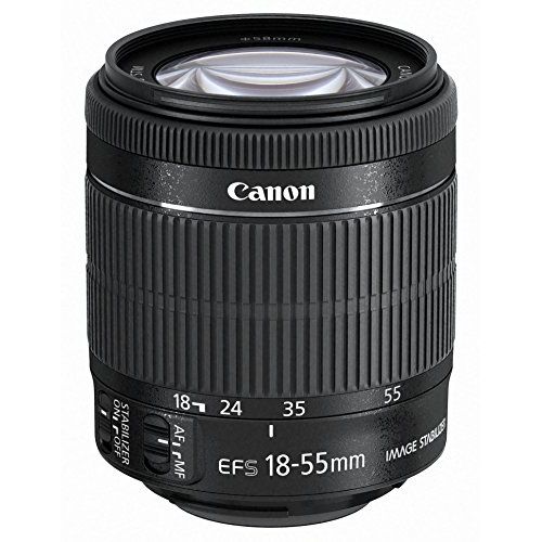 【中古】【1年保証】【美品】Canon EF-S 18-55mm F3.5-5.6 IS STM