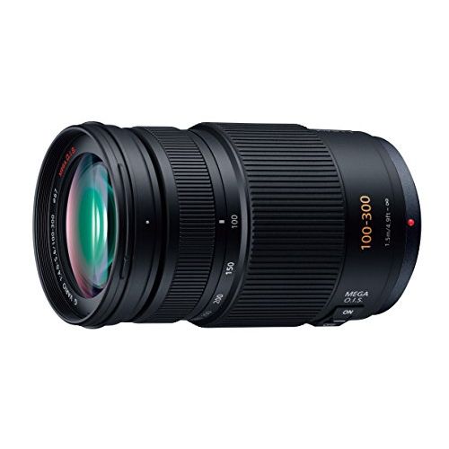 楽天Premier Camera -プレミアカメラ-【中古】【1年保証】【美品】Panasonic LUMIX G VARIO 100-300mm F4-5.6 ASPH. MEGA O.I.S. H-FS100300