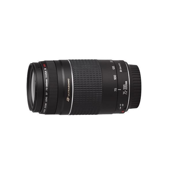 楽天市場】canon ef75－300mmの通販