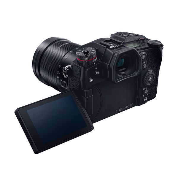 ����šۡ�1ǯ�ݾڡۡ����ʡ�Panasonic LUMIX G9 PRO ɸ�ॺ����饤��DG��󥺥��å� 12-60mm [DC-G9LK]