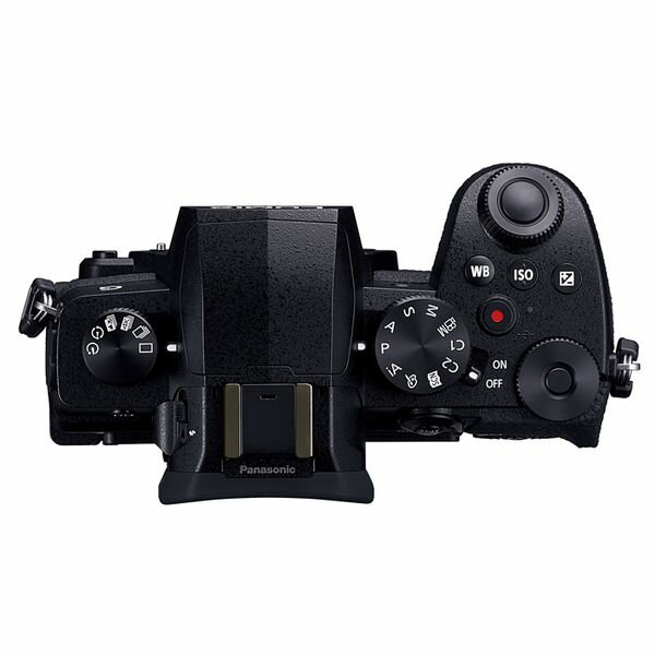 ����šۡ�1ǯ�ݾڡۡ����ʡ�Panasonic LUMIX G99 �ܥǥ� [DC-G99-K]