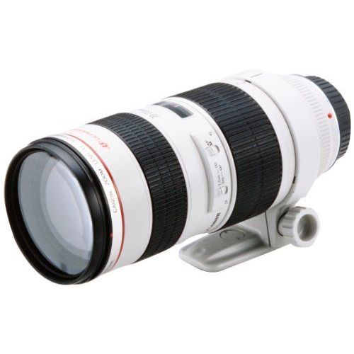 中古】【1年保証】【美品】Canon EF 70-200mm F2.8L USM-鏡頭–日本樂天