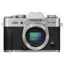 【中古】【1年保証】【美品】FUJIFILM X-T20 ボディ シルバー