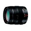 【中古】【1年保証】【美品】Panasonic LUMIX G X VARIO 12-35mm F2.8 ASPH. POWER O.I.S. H-HS12035