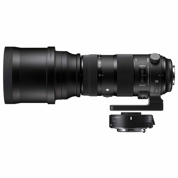 楽天市場】シグマ 150-600 中古の通販 楽天市場】シグマ 150-600 中古の通販