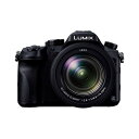 yÁzy1Nۏ؁zyizPanasonic LUMIX DMC-FZH1